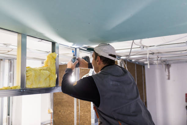 Best Energy Efficiency Insulation in Homewood, SC