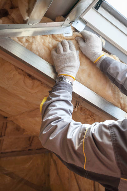 Trusted Homewood, SC Insulation Contractor Experts