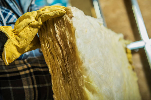 Best Geographic-Specific Insulation Services in Homewood, SC