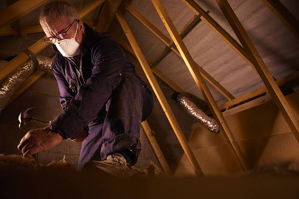 Types of Insulation We Offer in Homewood, SC