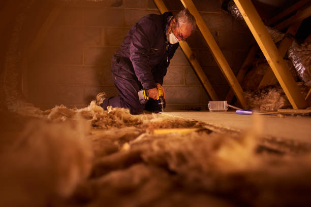 Best DIY Insulation Kits and Guidance in Homewood, SC